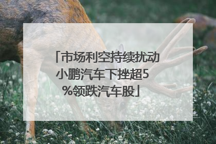 市场利空持续扰动 小鹏汽车下挫超5%领跌汽车股