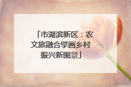 市湖滨新区：农文旅融合擘画乡村振兴新图景