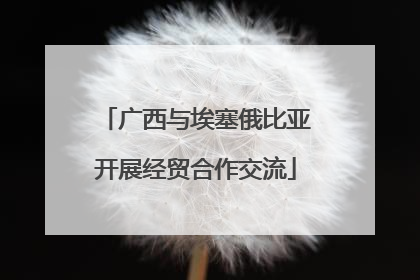 广西与埃塞俄比亚开展经贸合作交流