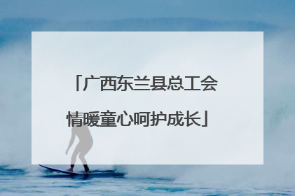 广西东兰县总工会情暖童心呵护成长