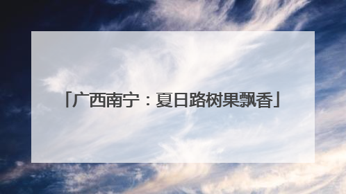 广西南宁：夏日路树果飘香