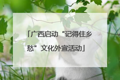 广西启动“记得住乡愁”文化外宣活动