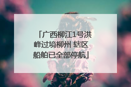 广西柳江1号洪峰过境柳州 辖区船舶已全部停航