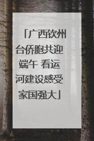广西钦州台侨胞共迎端午 看运河建设感受家国强大