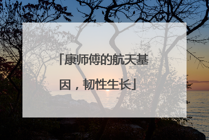 康师傅的航天基因，韧性生长