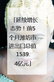 延续增长态势！前5个月潍坊市进出口总值1539.4亿元