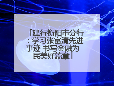 建行衡阳市分行：学习张富清先进事迹 书写金融为民美好篇章