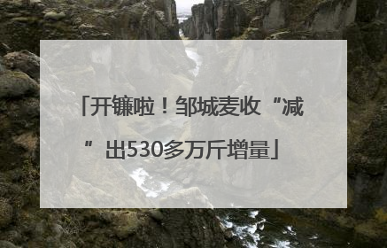 开镰啦！邹城麦收“减”出530多万斤增量