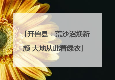 开鲁县：荒沙沼焕新颜 大地从此着绿衣