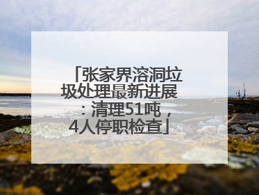 张家界溶洞垃圾处理最新进展：清理51吨，4人停职检查