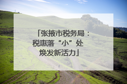 张掖市税务局：税惠落“小”处 焕发新活力