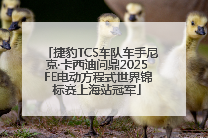 捷豹TCS车队车手尼克·卡西迪问鼎2025 FE电动方程式世界锦标赛上海站冠军