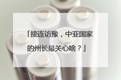 接连访豫，中亚国家的州长最关心啥？