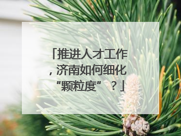 推进人才工作，济南如何细化“颗粒度”？