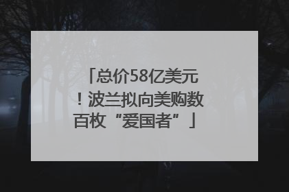 总价58亿美元！波兰拟向美购数百枚“爱国者”