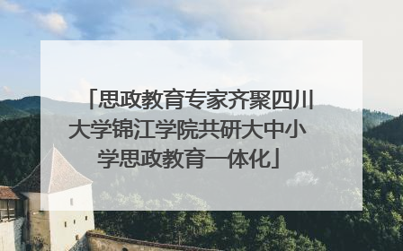 思政教育专家齐聚四川大学锦江学院共研大中小学思政教育一体化