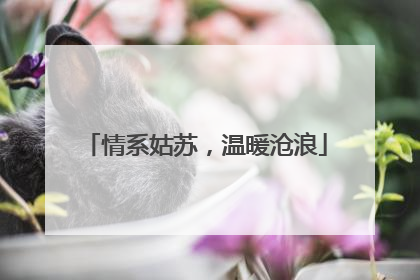 情系姑苏，温暖沧浪