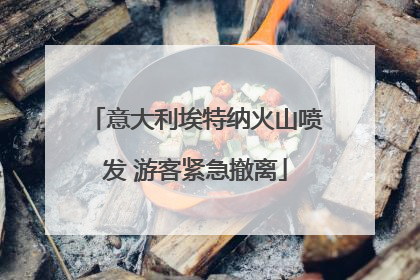 意大利埃特纳火山喷发 游客紧急撤离
