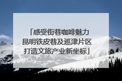 感受街巷咖啡魅力 昆明铁皮巷及巡津片区打造文旅产业新坐标
