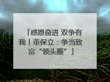 感恩奋进 双争有我丨董保立：争当致富“领头雁”