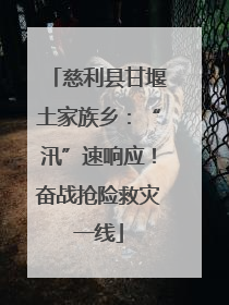慈利县甘堰土家族乡：“汛”速响应！奋战抢险救灾一线