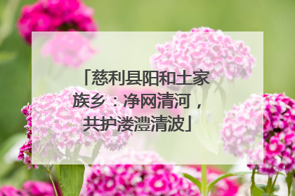 慈利县阳和土家族乡：净网清河，共护溇澧清波