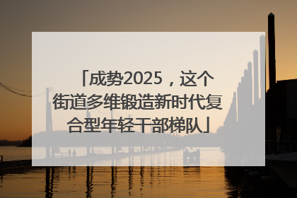 成势2025，这个街道多维锻造新时代复合型年轻干部梯队