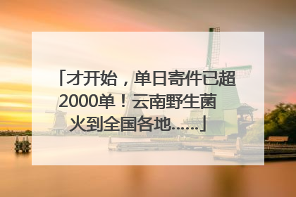 才开始，单日寄件已超2000单！云南野生菌火到全国各地……