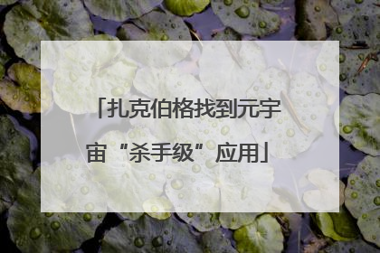 扎克伯格找到元宇宙“杀手级”应用