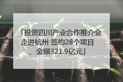 投资四川产业合作推介会走进杭州 签约28个项目、金额321.9亿元