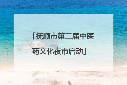 抚顺市第二届中医药文化夜市启动
