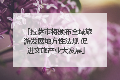 拉萨市将颁布全域旅游发展地方性法规 促进文旅产业大发展