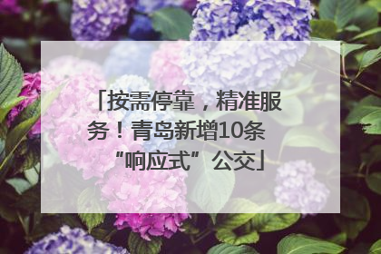 按需停靠，精准服务！青岛新增10条“响应式”公交