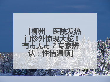 柳州一医院发热门诊外惊现大蛇！有毒无毒？专家辨认：性情温顺
