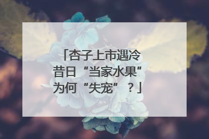 杏子上市遇冷 昔日“当家水果”为何“失宠”？