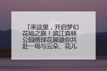 来这里，开启梦幻花境之旅！滨江森林公园绣球花展邀你共赴一场与云朵、花儿的浪漫之约