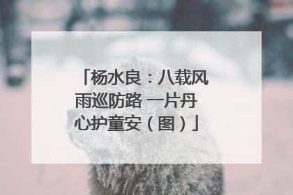 杨水良：八载风雨巡防路 一片丹心护童安（图）