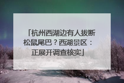 杭州西湖边有人拔断松鼠尾巴？西湖景区：正展开调查核实