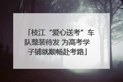枝江“爱心送考”车队整装待发 为高考学子铺就顺畅赴考路