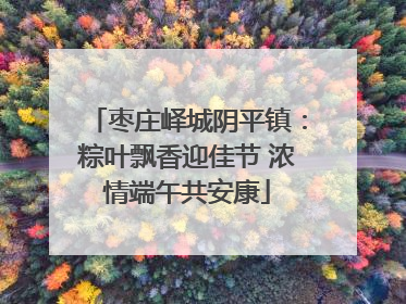 枣庄峄城阴平镇：粽叶飘香迎佳节 浓情端午共安康