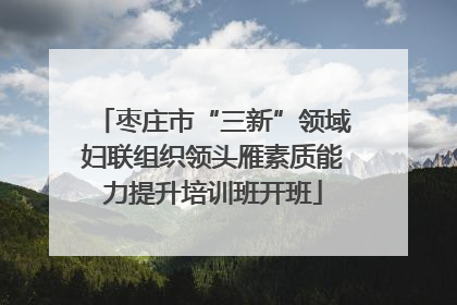 枣庄市“三新”领域妇联组织领头雁素质能力提升培训班开班