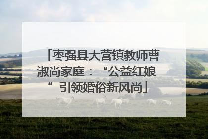 枣强县大营镇教师曹淑尚家庭：“公益红娘”引领婚俗新风尚