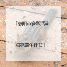 枣阳市多彩活动点亮端午佳节