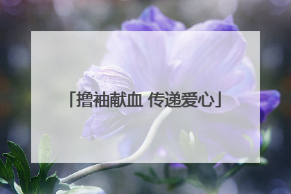撸袖献血 传递爱心