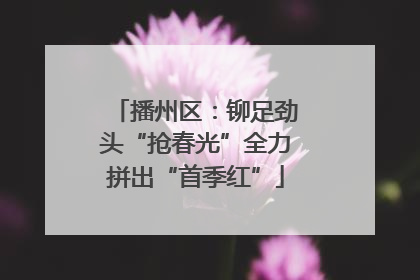 播州区：铆足劲头“抢春光”全力拼出“首季红”