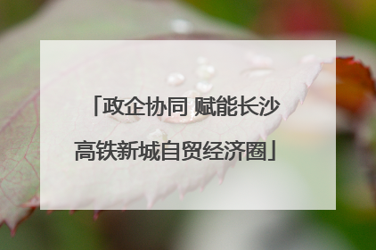 政企协同 赋能长沙高铁新城自贸经济圈