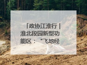 政协江淮行｜淮北段园新型功能区：“飞地经济”拔节生长