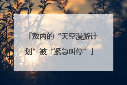 敖丙的“天空漫游计划”被“紧急叫停”