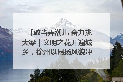 敢当弄潮儿 奋力挑大梁｜文明之花开遍城乡，徐州以昂扬风貌冲刺“万亿之城”