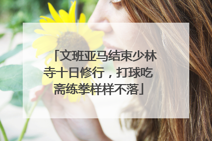 文班亚马结束少林寺十日修行，打球吃斋练拳样样不落